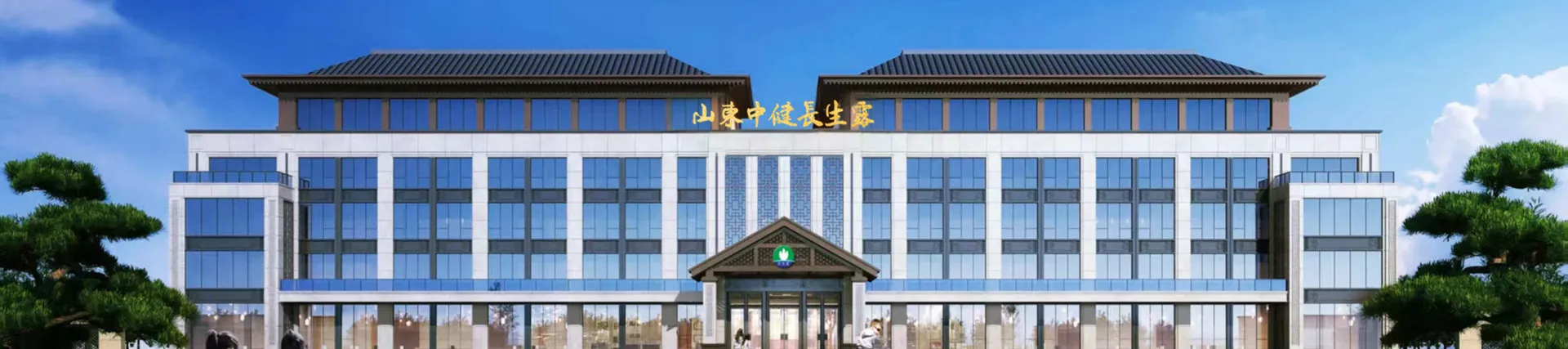发展历程